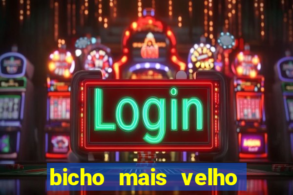 bicho mais velho da loteria dos sonhos